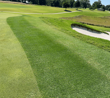 Tahoma 31 Golf Course Collar