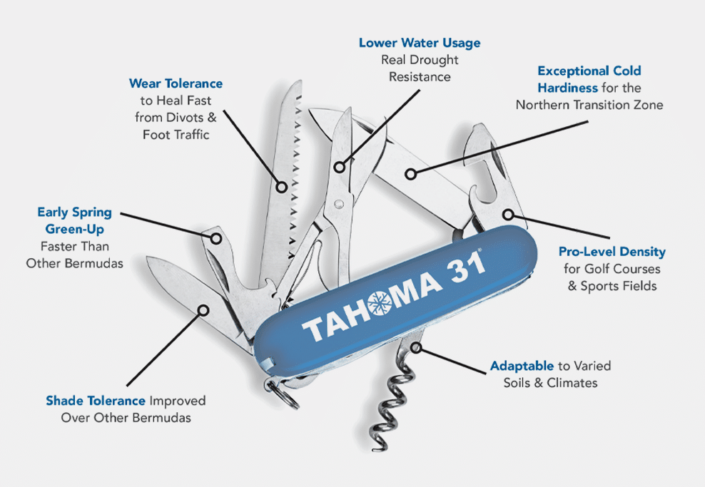 Tahoma 31 Research Data