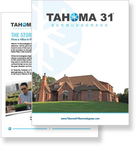 Tahoma 31 booklet