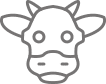 cow icon