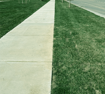 HTN 90/10 Fescue roadside, The Bend at Highland Meadows, Loveland, CO