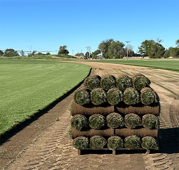 sod services in Colorado