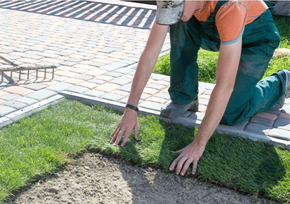 sod installation